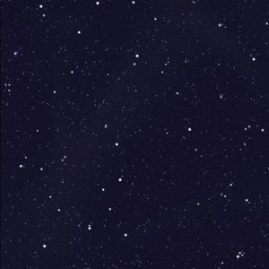 Meet your Posher, Mariah